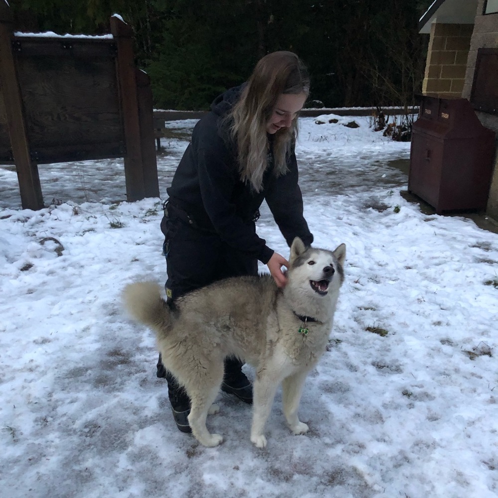 Meet your Posher, Layla